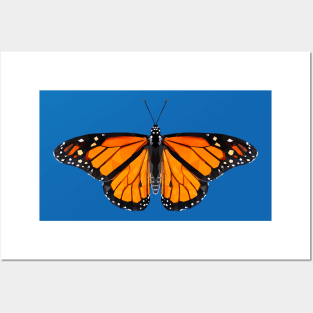 Monarch butterfly Posters and Art